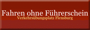 Fahren ohne Führerschein<br>Heiko Thomsen Fahren ohne Führerschein<br>Heiko Thomsen