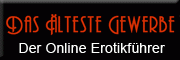 D&L-Netservice Der Online-Erotikführer<br>Miroslav Ilic 