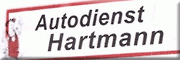 Autodienst Hartmann Geringswalde Autodienst Hartmann Geringswalde