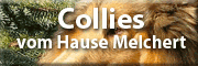 Collies vom Hause Melchert Bopfingen