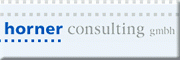 horner consulting gmbh 