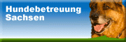 Private Hundebetreuung<br>Petra Menzel Reinsberg Private Hundebetreuung<br>Petra Menzel Reinsberg
