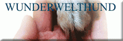 WunderWeltHund Mobile Hundetrainer<br>Karen Soucy Landau WunderWeltHund Mobile Hundetrainer<br>Karen Soucy Landau