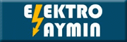 Elektro Aymin<br>Hossein Assar Elektro Aymin<br>Hossein Assar