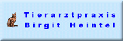 Tierarztpraxis Birgit Heintel Kassel Tierarztpraxis Birgit Heintel Kassel