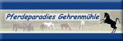 Reiterhof Pferdeparadies Gehrenmühle<br>Rainer Bullmer Seinsheim Reiterhof Pferdeparadies Gehrenmühle<br>Rainer Bullmer Seinsheim