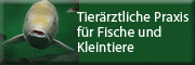 Tierärztliche Praxis für Fische und Kleintiere<br>Iris Tanja Jerneiczyk 