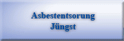 Asbestentsorgung Werner Jüngst 