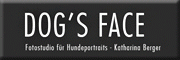Fotostudio DOG'S FACE<br>Katharina Berger Oberhausen an der Appel Fotostudio DOG'S FACE<br>Katharina Berger Oberhausen an der Appel