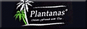 Plantanas-Tee-Direktvertrieb Bad Ems