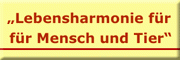 DogSpirit Schopfheim