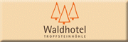 Waldhotel Tropfsteinhöhle<br>Uwe Bollow Wiehl