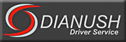 Driver Service Dianush (Privat Taxi)<br>Iman Rahaeian 