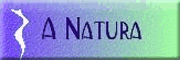 A Natura Kosmetik A Natura Kosmetik