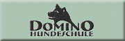 Hundeschule und Pension Domino<br>Sabine Glaser-Wipper Remlingen