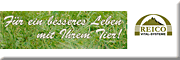 REICO Vital-Systeme selbstständige Systemberaterin Falkensee REICO Vital-Systeme selbstständige Systemberaterin Falkensee