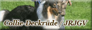 Privat-Collie-Deckrüde / JRJGV<br>Doris Vaughan Gorxheimertal Privat-Collie-Deckrüde / JRJGV<br>Doris Vaughan Gorxheimertal