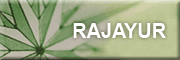 rajayur - ayurveda<br>Sonja Lienhard 