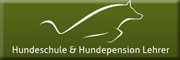 Hundeschule und Hundepension Rose Lehrer Welzheim Hundeschule und Hundepension Rose Lehrer Welzheim