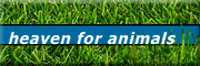 heaven for animals<br>Peter Posmyk Darmstadt heaven for animals<br>Peter Posmyk Darmstadt