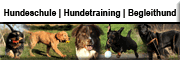 Ziemer & Falke - Ausbildungszentrum für Mensch und Hund Hattingen Ziemer & Falke - Ausbildungszentrum für Mensch und Hund Hattingen