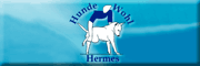 HundeWohl Hermes Kelkheim HundeWohl Hermes Kelkheim