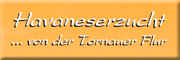 Hundestübchen Doggy Style<br>Gitte Gündler Laußig Hundestübchen Doggy Style<br>Gitte Gündler Laußig