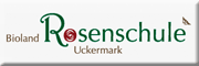 Bioland Rosenschule Uckermark<br>Andrea Genschorek Mescherin