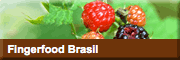 Fingerfood-brasil<br>Claudia Vasconcelos Fingerfood-brasil<br>Claudia Vasconcelos