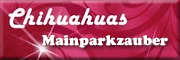 chihuahuas-vom-mainparkzauber<br>Elisabeth Luccisano Hattersheim am Main chihuahuas-vom-mainparkzauber<br>Elisabeth Luccisano Hattersheim am Main