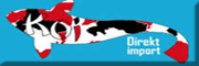 Koi-Direktimport<br>Reiner Knof Wedemark Koi-Direktimport<br>Reiner Knof Wedemark