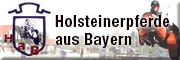 Holsteinerpferde aus Bayern<br>Anne Tilp 