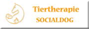 socialdog Ravensburg