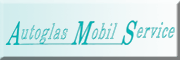AMS Autoglas GmbH<br>Franz Brandl AMS Autoglas GmbH<br>Franz Brandl