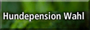 Hundepension Wahl Hundepension Wahl