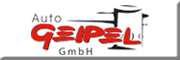 Auto-Geipel GmbH Plauen Auto-Geipel GmbH Plauen