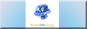 BlueRoseEnergy Paul Lansley Westerstede BlueRoseEnergy Paul Lansley Westerstede