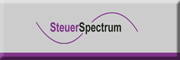 SteuerSpectrum Beate Pfitzer 