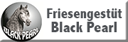 Friesengestüt Black Pearl<br>Ilona Pfreundtner Langenau Friesengestüt Black Pearl<br>Ilona Pfreundtner Langenau