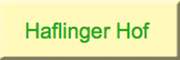 Haflinger Hof Detig<br> Dipperz Haflinger Hof Detig<br> Dipperz