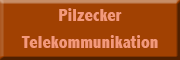 Pilzecker Telekomunikation<br>  