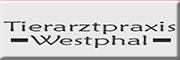 Tierarztpraxis Westphal<br> Angermünde Tierarztpraxis Westphal<br> Angermünde