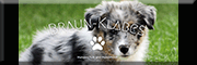 Braun-Klabes GmbHHundeschule - Hundehotel / Hundetagesstätte Steinfurt