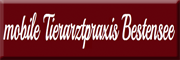 mobile Tierarztpraxis Bestensee Bestensee mobile Tierarztpraxis Bestensee Bestensee