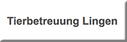 Hundepension Tierbetreuung Lingen Service für alle “Felle“<br>Ann Kathrin Richter Lingen