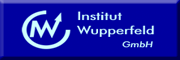 Institut Wupperfeld GmbH<br> Langenfeld Institut Wupperfeld GmbH<br> Langenfeld