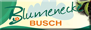Blumenecke Busch Wernigerode Blumenecke Busch Wernigerode