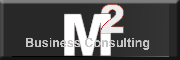 M2 Business Consulting GmbH<br>  