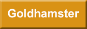 Goldhamster<br> Rottweil Goldhamster<br> Rottweil