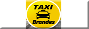 Taxi-Brandes UG (haftungsbeschränkt)<br> Harsewinkel Taxi-Brandes UG (haftungsbeschränkt)<br> Harsewinkel